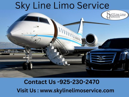  Skyline limo  near air transportation 