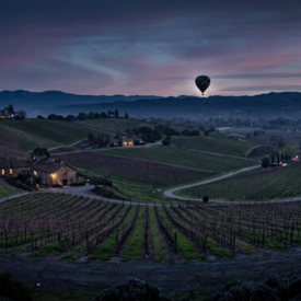 Napa Valley Scenic View