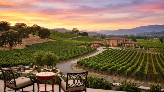 Napa Valley Vineyard