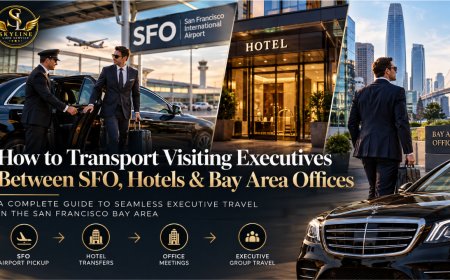 Executive Car Service Between SFO, Hotels & Bay Area Offices